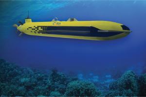 Mid Size AUV for Covert REA