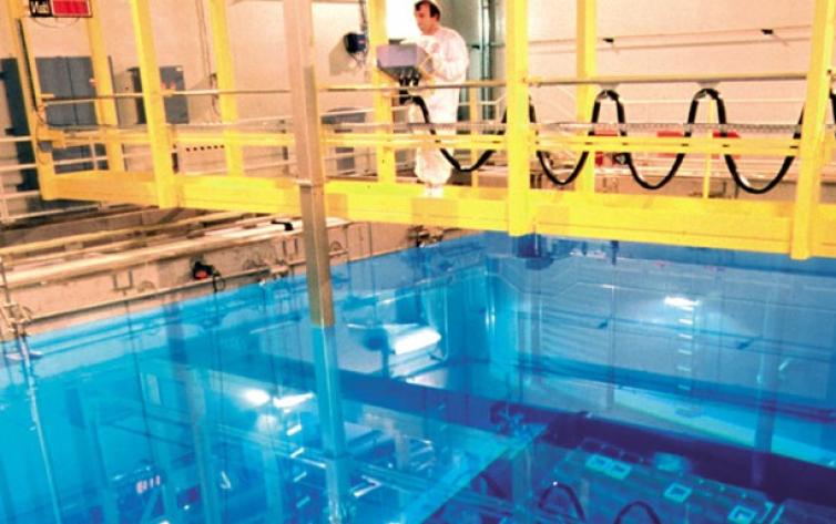 Cameras For Inspection Of Fuel Storage And Reactor Pools