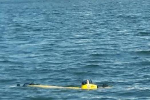 ECA-Group-AUV-A9-E-swarms project.jpg