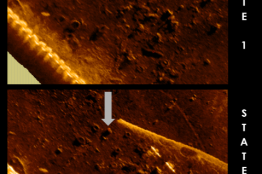 ECA-GROUP-AUV-Seabed sonar imageries: comparison between safe state (1) and new state (2) after data reacquisition by AUV zoom pic.png