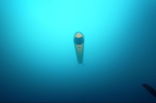 ECA-Group-AUV-A18-M-underwater-7.jpg