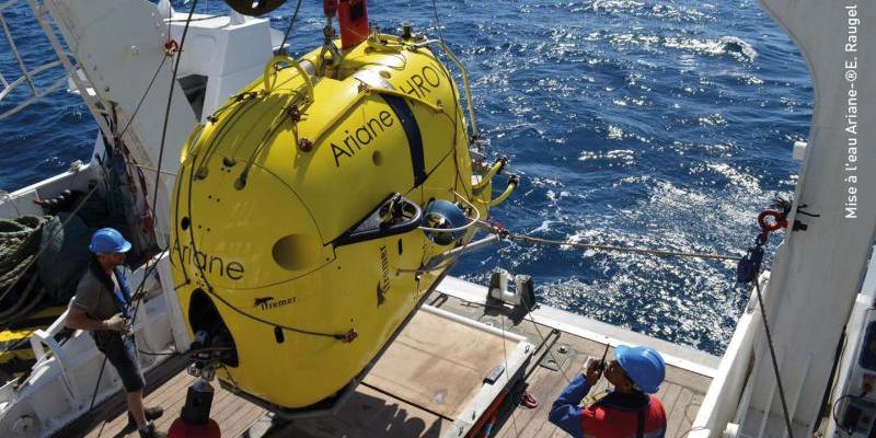 H-ROV