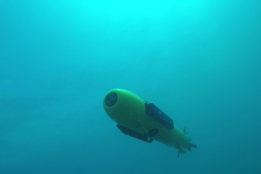 ECA-Group-AUV-A9-E-swarms.2.png