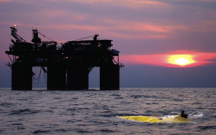 Autonomous Underwater Vehicle For Platform surveillance