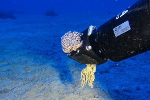 ECA-Group-ROV-MIDS-ROV-H800-SUR-Remotely-Operated-Vehicle-4.jpg