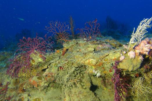 ECA-Group-ROV-MIDS-ROV-H800-SUR-Remotely-Operated-Vehicle-6.jpg
