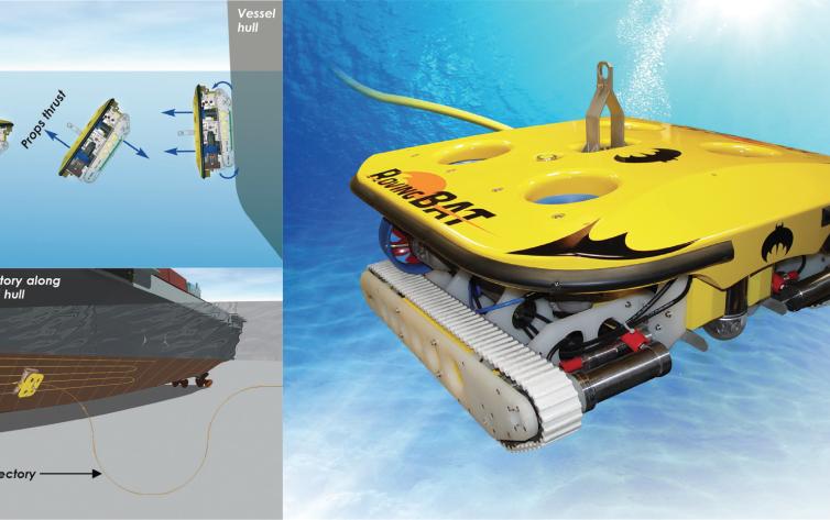 Hull And Vertical Structures Expertises