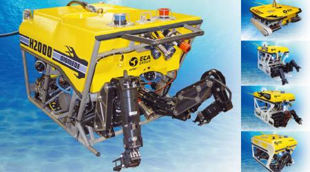 Inspection and Work Class Rovs
