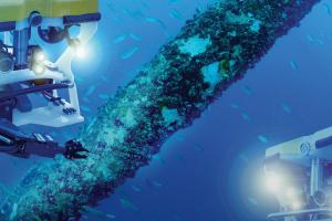 Subsea Inspection & Work