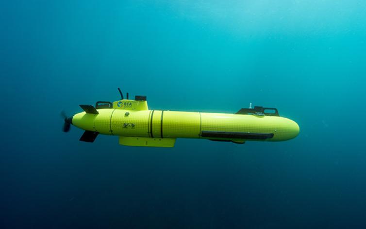 ECA Group Autonomous Underwater Vehicle (auv) A9