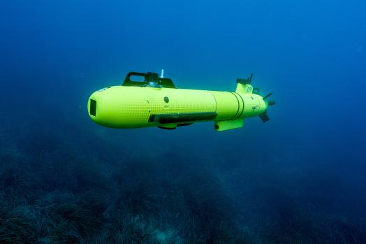 ECA_Group_AUV_A9-S.jpg
