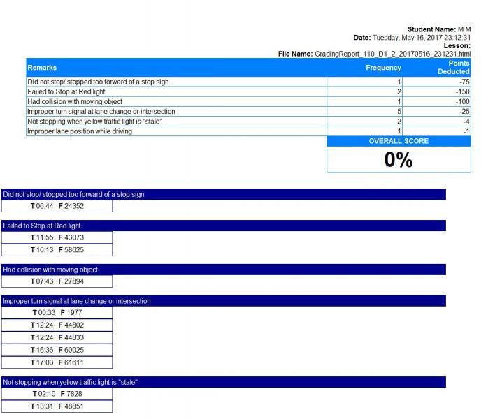 ECA Driving Simulator Reports and Assessments