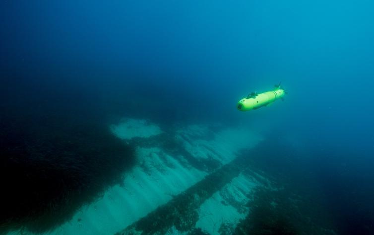 Autonomous Underwater Vehicle for Pipeline Inspection