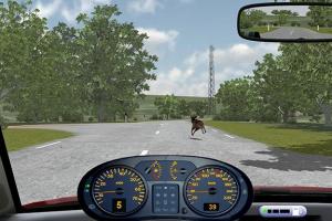 Simulation Training Systems for Safe Driving in Risky Situations