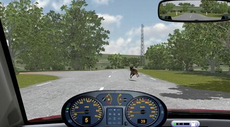 Simulation Training Systems for Safe Driving in Risky Situations