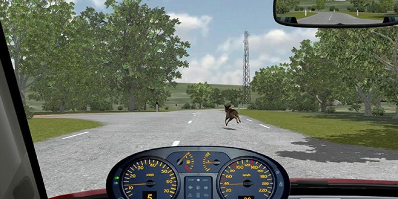 Simulation Training Systems for Safe Driving in Risky Situations