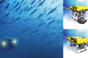 Fishfarm Inspection and Monitoring by ROV