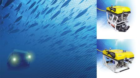 Fishfarm Inspection and Monitoring by ROV