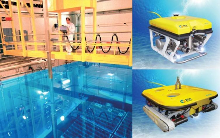 ROV for Inspection of Fuel Storage and Reactor Pools